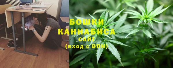 стафф Новокубанск
