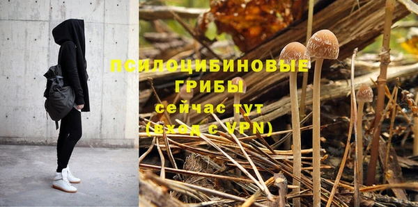 молекула духа Новозыбков