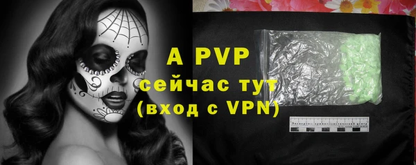 молекула духа Новозыбков