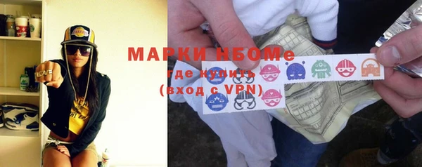 молекула духа Новозыбков