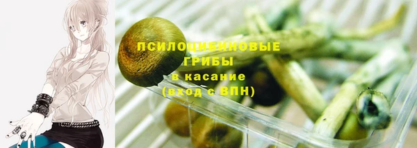 стафф Новокубанск