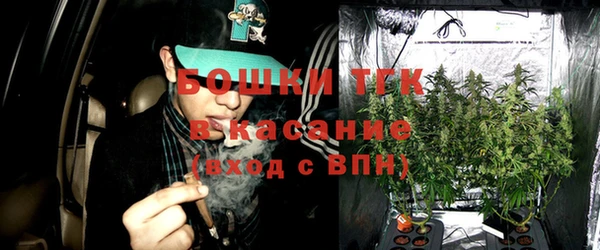 стафф Новокубанск