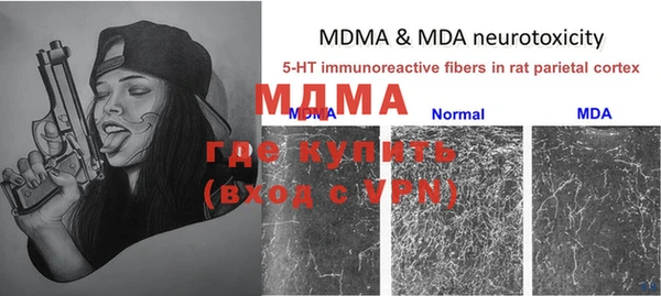 молекула духа Новозыбков