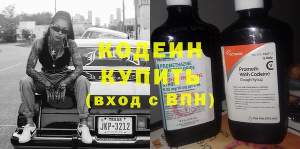 молекула духа Новозыбков