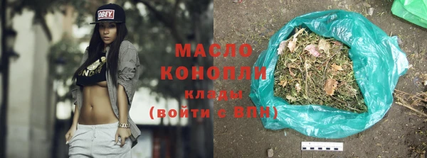 молекула духа Новозыбков
