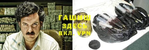 молекула духа Новозыбков
