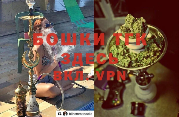 молекула духа Новозыбков