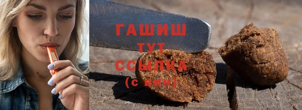 молекула духа Новозыбков