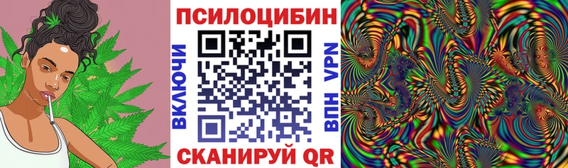 Псилоцибиновые грибы мицелий  Купить где  Электроугли 
